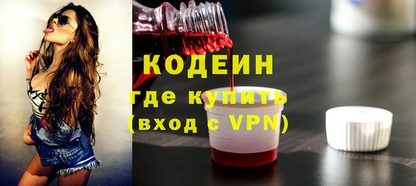 spice Ельня