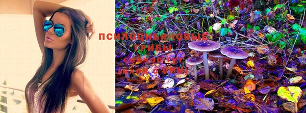 кокаин колумбия Медногорск