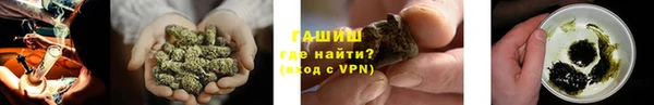 spice Ельня