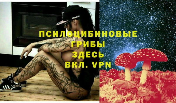 spice Ельня