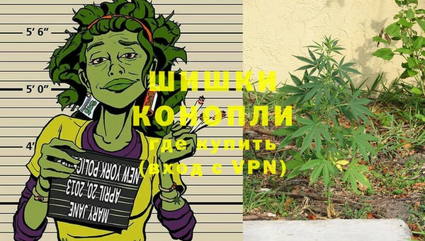 сатива Медвежьегорск