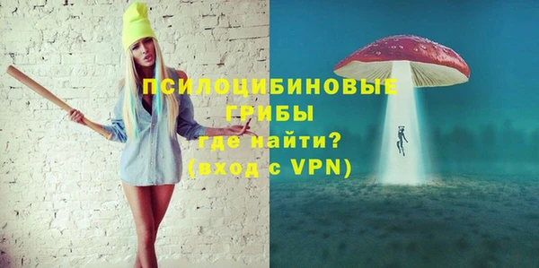 spice Ельня