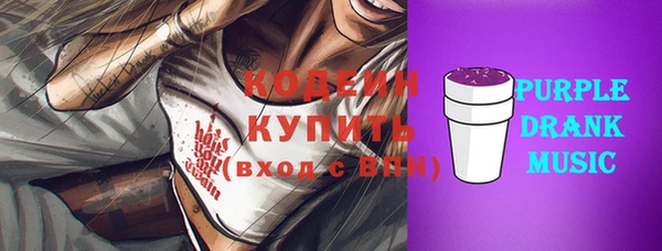 spice Ельня