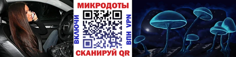 Псилоцибиновые грибы Psilocybine cubensis  мега tor  Пущино 