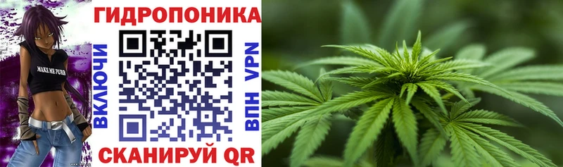 Бошки марихуана SATIVA & INDICA  МЕГА онион  Пущино 